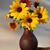 Shari Shaw Leas's profile image