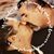 Susan Hoffpauir's profile image