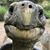 Crystal Miller's profile image
