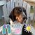 Christine Kneer Elrod's profile image