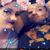 EricElizabeth Vasquez's profile image