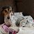 Vicki Buskirk-Untied's profile image