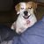 Carrie Koch's profile image