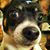 Tresa Higbee's profile image