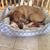 Kathy Condon's profile image