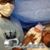 Samon Morgan's profile image