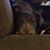 Terry Elwood's profile image