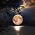 Viki Turngren's profile image
