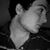Kotada Dtc's profile image