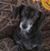 Laura S. Waxman's profile image