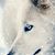 Heather Timm's profile image