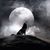 Alessio Ale's profile image