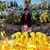 Lina Chieng's profile image