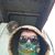 Greg B Williams's profile image