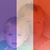 Virginia Rank's profile image