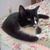 Richard N Pamela Hatch's profile image