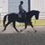 Shane Macha's profile image
