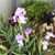 Barbara Rutledge Maxham's profile image