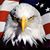 William Novack's profile image