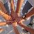 Barbara Wilson McGarvie's profile image