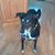 Patti Held's profile image