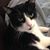 Susan Price-Jang's profile image