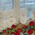 Karla Zlocki's profile image