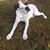 Ginny Griswold Anderson's profile image