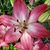 Donna George's profile image