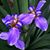 Pam Childers's profile image