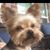 Kelli N Bradley Chapman's profile image