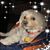 Dennis Barth's profile image