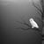 Sandy Langan's profile image