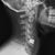 William Alan Alvarado's profile image