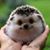 Cathy White's profile image