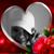 Kizzy R Lane's profile image