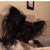 Marla D Youngblood's profile image