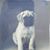 Suzanne Glorioso's profile image