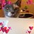 Dreama Carson's profile image