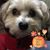 Korry Breneman's profile image