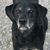 Donna Johnson Mueller's profile image