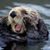 Diana Holladay's profile image