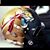 Cedric Jones's profile image
