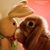 Liora Gomer's profile image