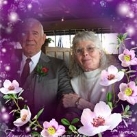 Kitty van der Linde-Bonner's profile image