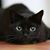 Raelene Wilson's profile image