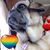 Tifney Schoenfeld's profile image