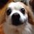 Kandi Hammer's profile image