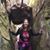 Sarah Tweeter Nelson's profile image