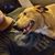 Jasyn Burleigh's profile image